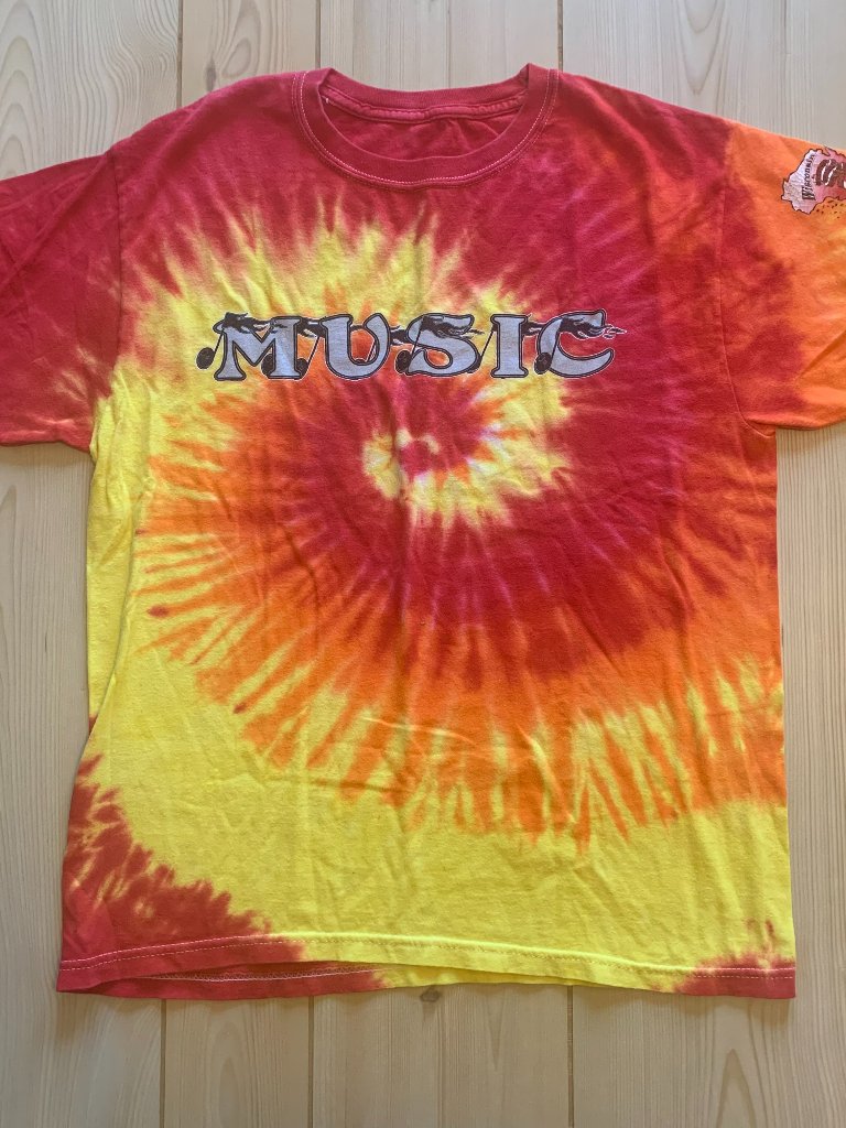Vintage Y2k Wisconsin Wi Solo & Ensemble Music Midwest Artist Band T-Shirt M